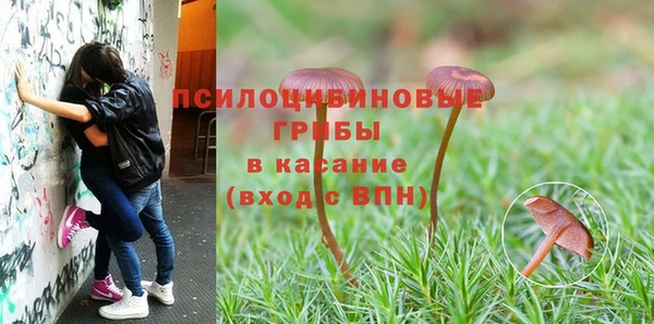 героин Краснослободск