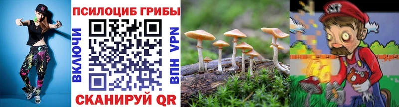 закладка  Шиханы  Псилоцибиновые грибы Magic Shrooms 